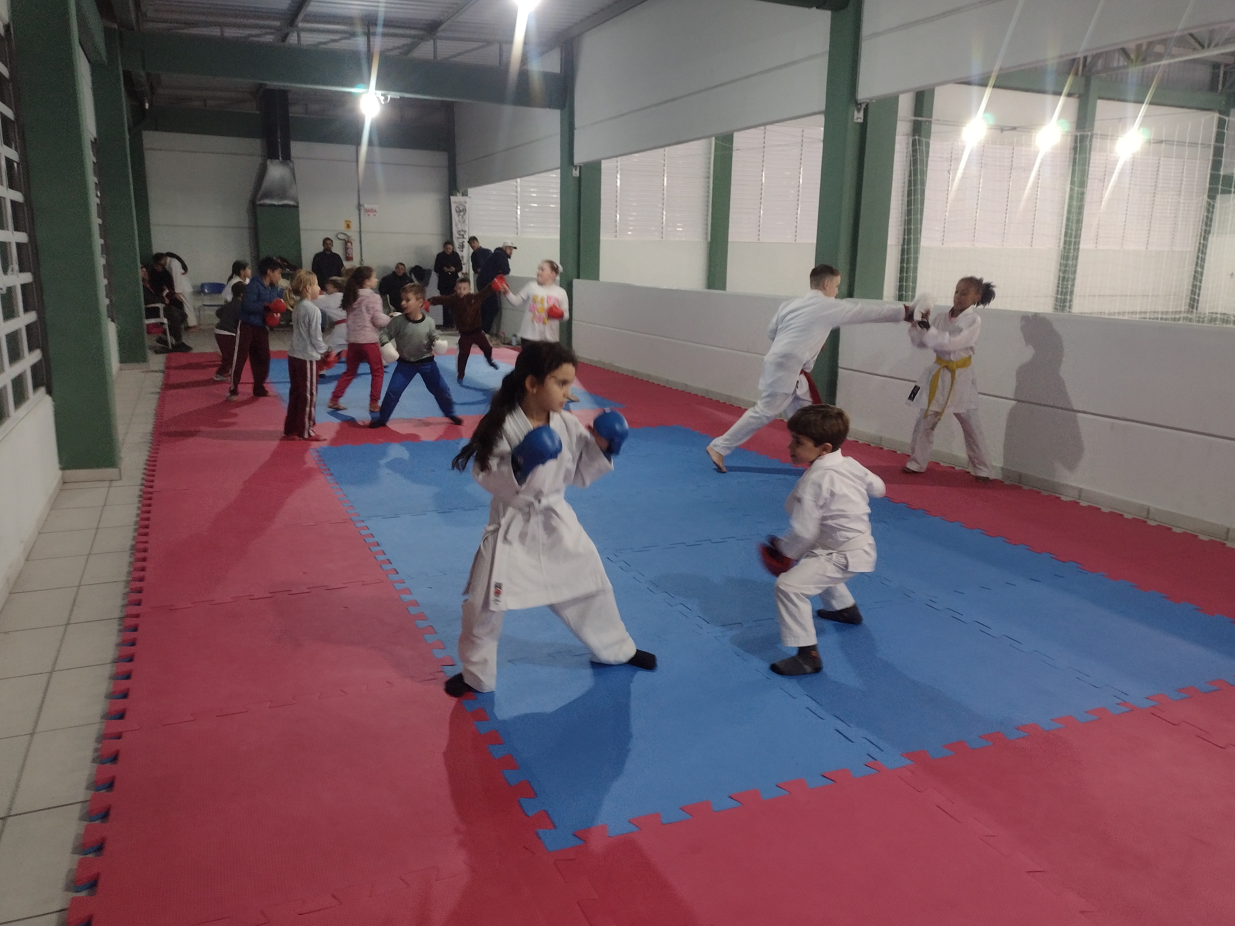 Foto 2 do Associação São Ludgero de karatê 